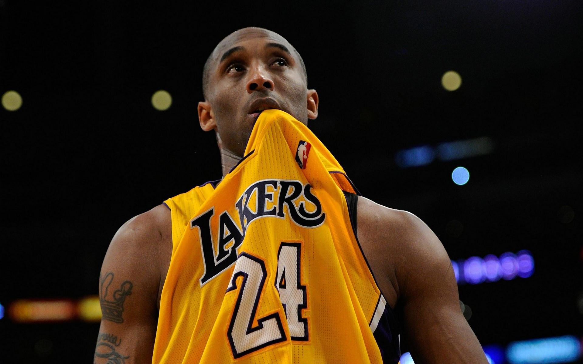 数减少但质 数减少但质